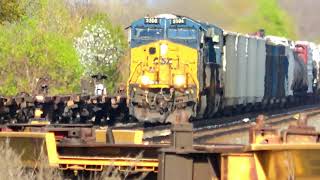 Amtrak Chasing a CSX Freight Train [upl. by Ledda644]