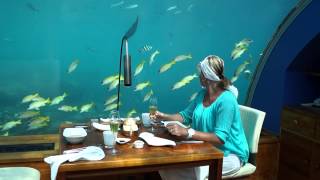 Restaurant sous leau Maldives 2013 Hotel Conrad [upl. by Evoy]