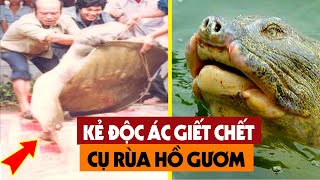 SỐC Lộ Diện Kẻ Xuống Tay Lấy Đi Mạng Sống Của Cụ Rùa Hồ Gươm  Người Dân Việt Nam Nghẹn Ngào [upl. by Akram118]