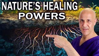 The 2 Healing RootsUnlocking the Power to Heal Your Sickness Pain and Disease Dr Mandell [upl. by Nylecoj253]