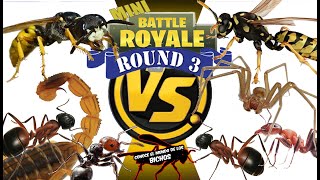 MINI BATTLE ROYALE  ROUND 3 [upl. by Nalla]