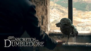 Deleted Scene Hogwarts Owlery  Fantastic Beasts The Secrets of Dumbledore [upl. by Notliw]