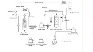 Production of FATTY ALCOHOLS [upl. by Hollington]