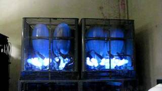 Mercury Arc Rectifier [upl. by Yemorej]