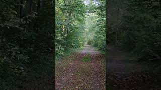 Bike trails Rondeau Provincial Park [upl. by Aihseket]