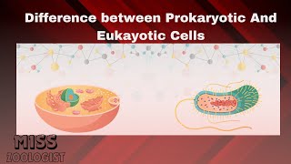 Difference between Prokaryotes and Eukaryotesclass 9thprokaryotic and eukaryotic cellsurduhindi [upl. by Hanala]