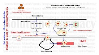 Antiamoebic Drugs  Metronidazole Mechanism of Action  Antiamoebic Drugs  Metronidazole Drug [upl. by Nosyaj]