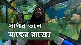 radiant fish world coxs Bazar  Fish World Cox’s Bazar ll Cox’s Bazar fish world baunduleexpress [upl. by Hamlet]