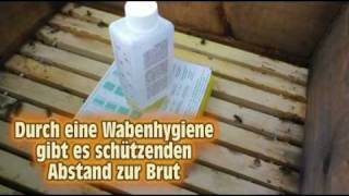 Varroa Behandlung mit dem Liebig Dispenser [upl. by Caylor]