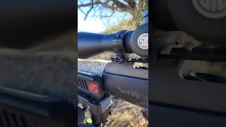 Weatherby Mark V ACCUMARK LTD 65300WBY Arizona Coues [upl. by Nomma14]