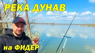 ПРОЛЕТЕН РИБОЛОВ на РЕКА ДУНАВ с ФИДЕР  River Danube [upl. by Tymes907]