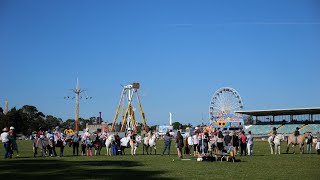 Whats On at the Hawkesbury Show 2023 [upl. by Lipinski]