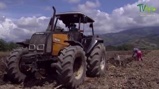 Como Cultivar La Papaya  TvAgro por Juan Gonzalo Angel [upl. by Arlina150]