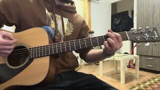 Proconsul  Cerul  acoustic guitar cover [upl. by Oiramrej]