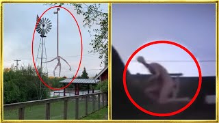 30 Mysterious Giant Creatures Caught on Tape [upl. by Irem]