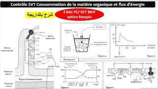 contrôle svt 2 bac biof consommation de la matière organique et flux dénergie شرح بالداريجة [upl. by Akyssej]