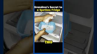 Discover the Secret for a Spotless Fridge 🧼❄️ [upl. by Nsaj381]