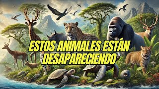 🐾 Top 5 especies animales en peligro de extinción ¡Conoce a los más amenazados  TOP FIVE [upl. by Farrish]