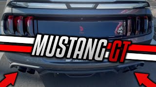 BEST Sounding EXHAUST for the 50 Mustang GT  Steeda H Pipe [upl. by Atinaujnas]