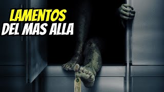 🥀 Misterios en la Morgue  3 Historias de terror de MORGUES [upl. by Bathulda]