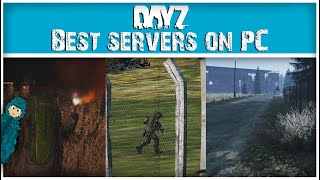 The Best PC Servers on DayZ  NEW 2024 [upl. by Odlopoel550]