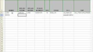 curp en excel rfc con homoclave en excel [upl. by Atiraj]