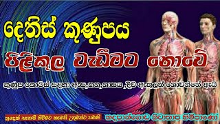 දෙතිස් කුණුපය පිළිකුල වැඩීමට නොවේHadapangoda Niwathapa TheropahuraDharmayai obai [upl. by Tamma]