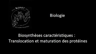 Biologie 2503  Biosynthèses caractéristiques  Translocation maturation des protéines [upl. by Waterer448]