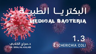 التحليلات\المادة الوزارية البكتريا الطبية \ المحاضرة الثانية\Escherichia coli  2024  الجزء الاول [upl. by Gilliam]