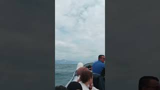 Bootsfahrt in Gardasee 1  Garda Gölünde tekne turu [upl. by Ytinav761]