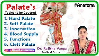 Anatomy of Palate Hard palate Soft palate Innervation Blood supply Functions Cleft palate [upl. by Norred]