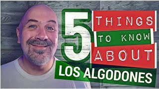 5 Things To Know About Los Algodones Mexico [upl. by Koorb]