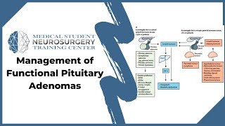 Management of Functional Pituitary Adenomas [upl. by Stephanus579]