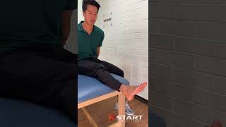 Fibularis longus ankle movement [upl. by Negeam]