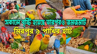 সকালে বৃষ্টি তারপরও জমজমাট মিরপুর ১ পাখির হাট  Mirpur 1 pakhir hat [upl. by Eseilenna713]