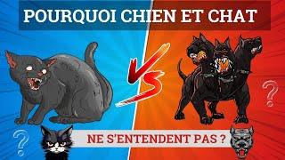 Pourquoi chien et chat ne sentendent pas [upl. by Aihsekin188]