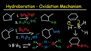 Hydroboration Oxidation Mechanism of Alkenes  BH3 THF H2O2 OH Organic Chemistry [upl. by Alethea567]