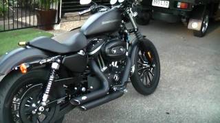 Harley Davidson Iron 883 [upl. by Burck138]