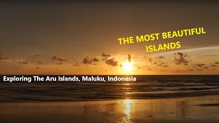 Exploring The Aru Islands [upl. by Sophi]