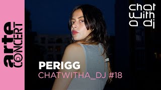 PERIGG bei Chat with a DJ  ARTE Concert [upl. by Iaht]