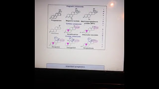 Selective estrogen receptor modulators SERMs Pharmacology [upl. by Newo]