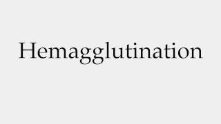 How to Pronounce Hemagglutination [upl. by Steward]