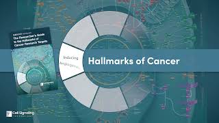 The Hallmarks of Cancer Research  CST [upl. by Zendah]