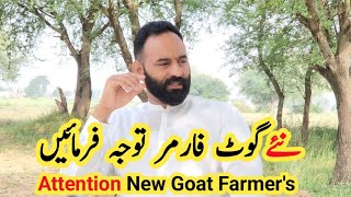 Attention new goat farmers  goat farming [upl. by Lindly]