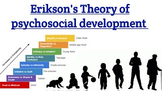 Eriksons theory of Psychosocial Development psychology 8 stages of psychosocial theory in hindi [upl. by Poulter]