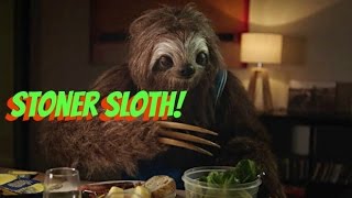 Stoner Sloth Youre Worse on Weed StonerSloth [upl. by Fevre]