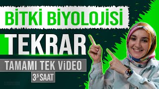 13 Bitki Biyolojisi FULL TEKRAR  12 Sınıf Biyoloji  AYT Biyoloji Konu Anlatımı 13 [upl. by Ttirb325]