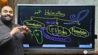 parasitology introduction part 2  1st year [upl. by Nnyl]