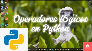 PYTHON Operadores lógicos en Python techno technology programming programacion [upl. by Yerffoeg]