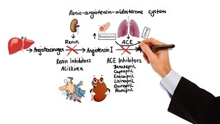 Pharmacology  HYPERTENSION amp ANTIHYPERTENSIVES MADE EASY [upl. by Lezned]